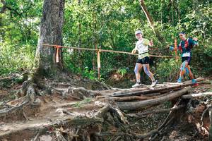 BIB: 
                            <button type="button" onclick="openModal(27554687)" class="btn btn-primary btn-sm float-right btn-popup" data-toggle="modal" data-target=".modal-high-quality">
                        <i class="fas fa-shopping-cart"></i> Add to Cart
                    </button>
                                            <button type="button" onclick="isThisMe(27554687, true)" class="btn btn-success btn-sm float-right btn-popup btn-isme hidden" data-toggle="tooltip" data-placement="bottom" title="นี่คือรูปของคุณใช่ไหม คลิกที่นี่เพื่อเอาเข้าอัลบั้ม">
                        <i class="fas fa-plus"></i> Add to album
                    </button>
                    <button type="button" onclick="isThisMe(27554687, false)" class="btn btn-warning btn-sm float-right btn-popup btn-isnotme hidden">
                        <i class="fas fa-ban"></i> Remove from album
                    </button>